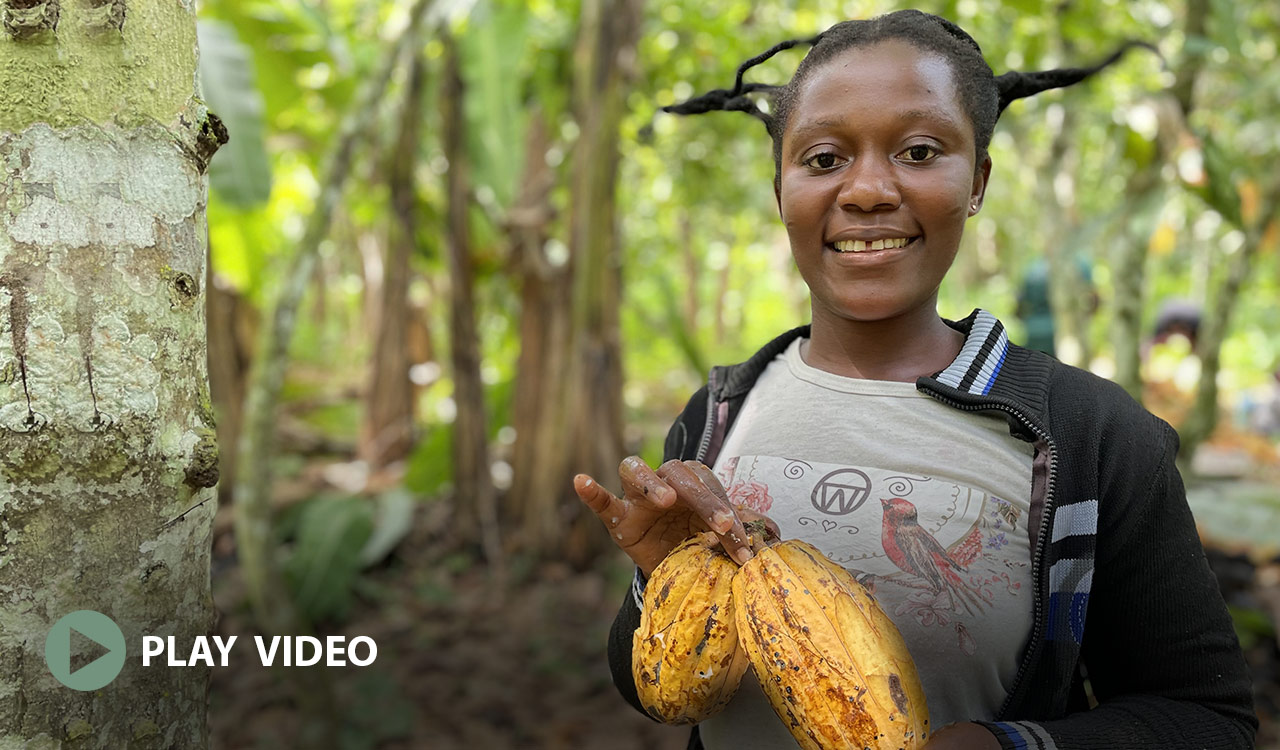 ABOCFA farmer holding cocoa 1
